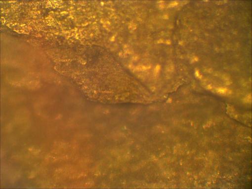 Description: Description: Description: Description: Description: Description: Description: Description: Description: Description: Description: Description: Description: Description: Description: Description: \\MASTERPC\Lab Ops\Test Data\Job # 3515\Microstructure\Up West black side 4 x 200.jpg